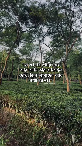 এইটুকুতেই সীমাবদ্ধ! #foryoupage #foryou #fyp 