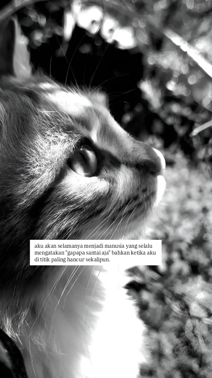 #4u #sadstory #fyp 
