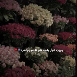 ئەو لە تۆ جوانترە🥹♥️. #foryou #foryoupage #fyppppppppppppppppppppppp #aflppppppppppppppppppppppppp 