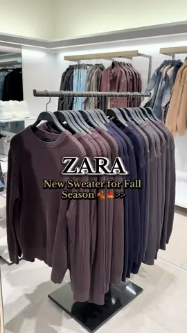 New Sweater for Fall Season 🍂🍁—> From ZARA #outfit #outfitideas #outfitinspo #fall #zara 