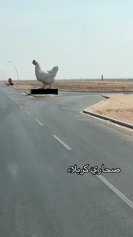 #صحاري_كربلاء  #شركت_سماء_كربلاء 