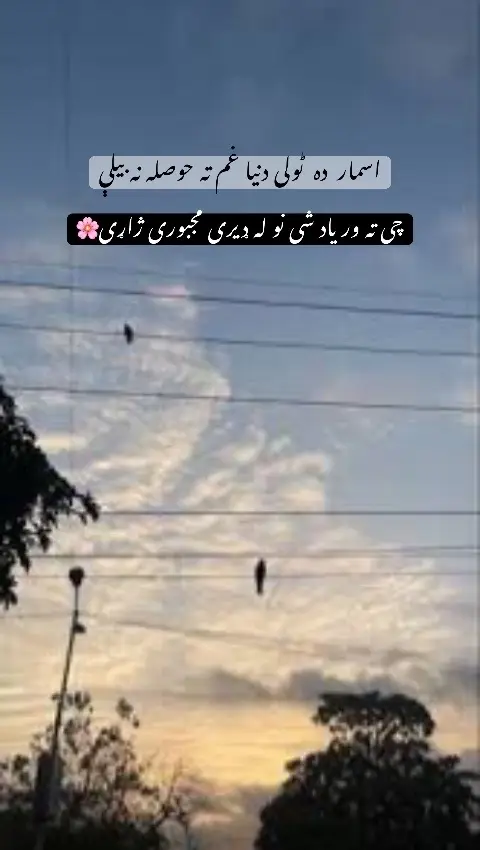 #pashtolines #janan #lewana #viral #growmyaccount 