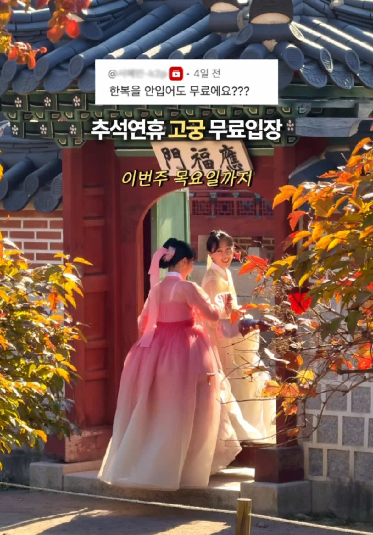 🍁추석연휴 내내 고궁 무료입장이라고?? @@목요일까지 당장 갈 사람! #추석 #추석연휴 #명절 #경복궁 #gyeongbokgung 