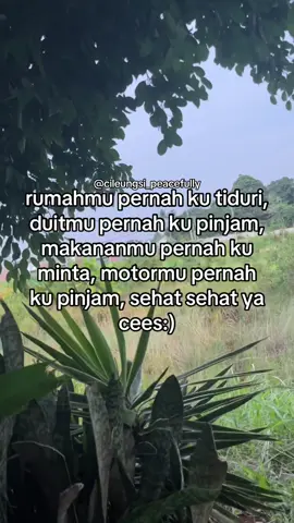 Tag cees lu #cileungsipeacefully #storykatakata #storytime #sahabatsejati #sadvibes 