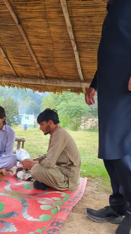 pls love begets love  spasming muhabat ko band lo