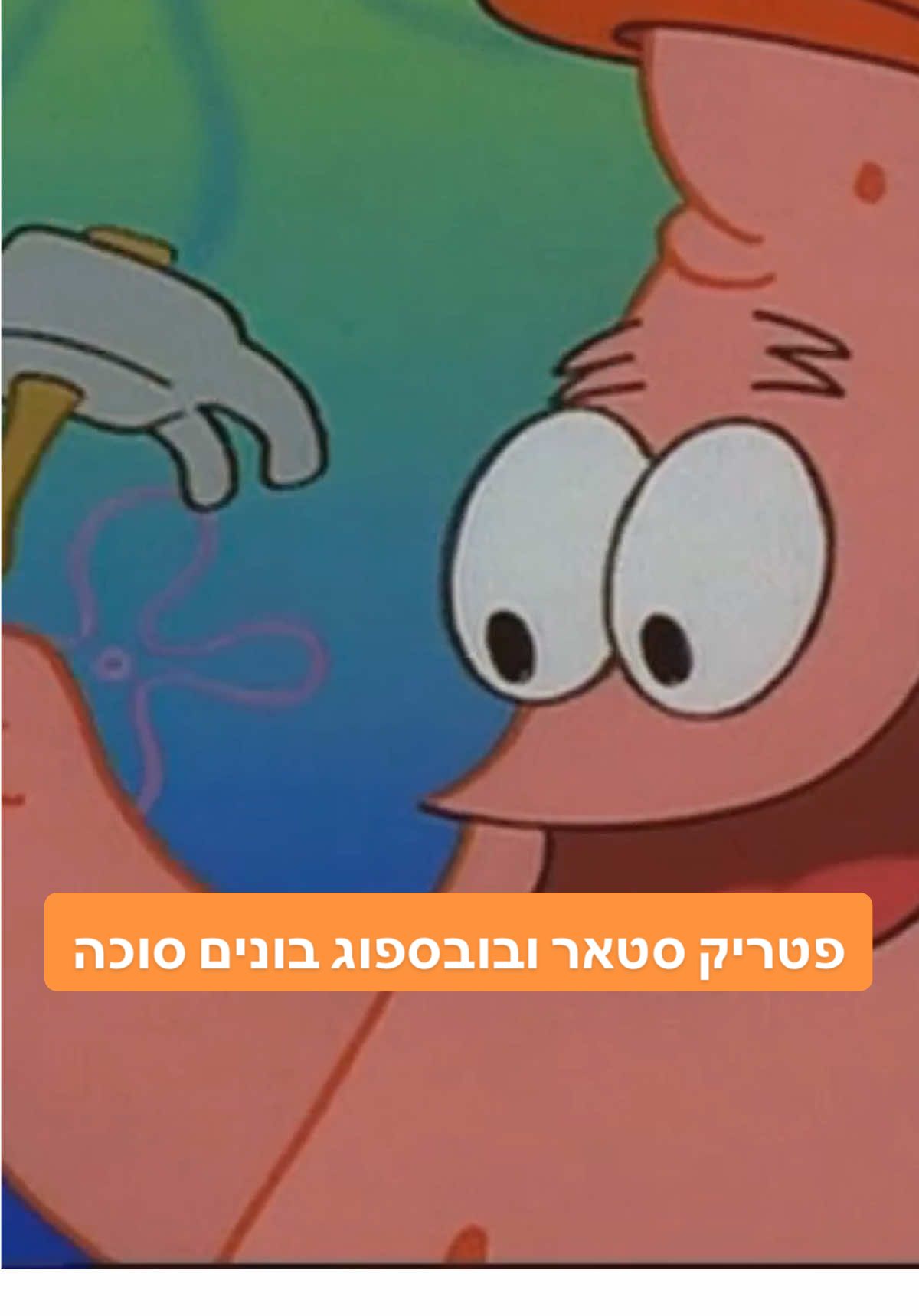 בסוכה של ביקיני בוטום 🍍😂 #סוכות #spongebob 