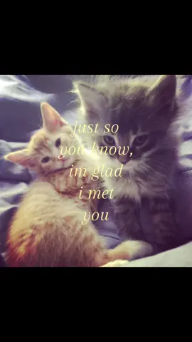 #Love #Love 