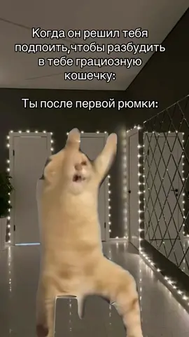 #Meme #MemeCut 