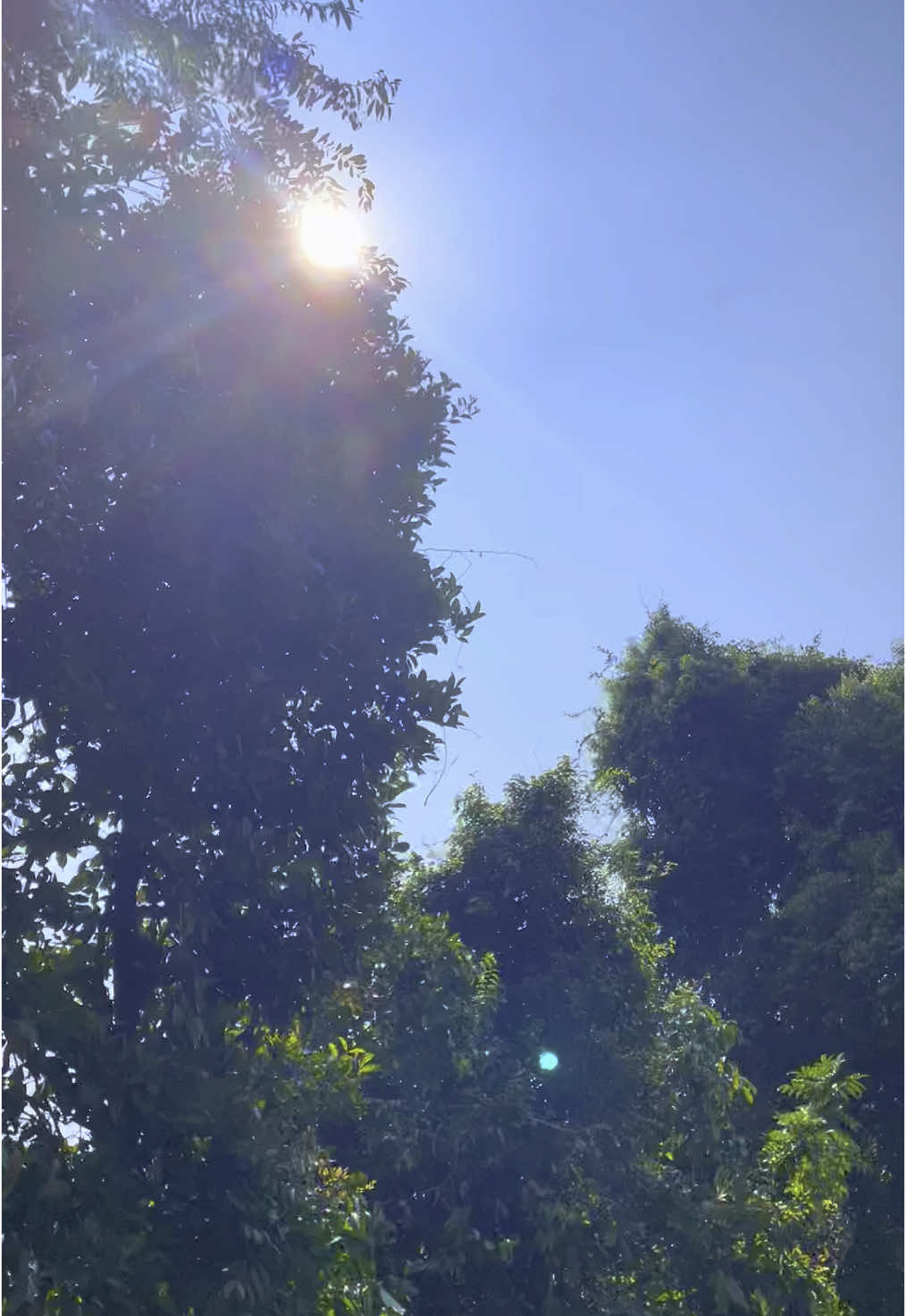 I believe the sun will always follow me #singaporean #sun #walk #enjoylife 