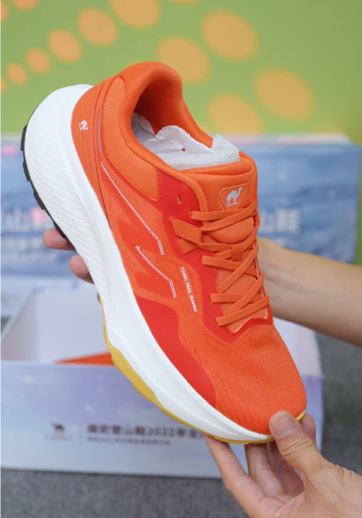 Giày đi bộ đường dài, chạy bộ, tập gym hàng nội địa trung cao cấp Camel #lenabui #giaydiboduongdai #giaychaybo #giaynoidiatrung #camelcrown 