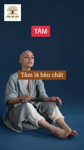 Tâm là gì? Đâu là Tâm thật, đâu là Tâm thức của Bản ngã? #tam #LearnOnTikTok #songtinhthuc #nguyenchithanh #tritue 