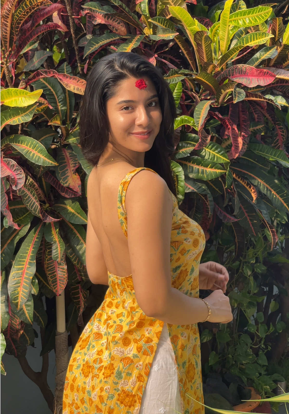 🕊️🦚✨