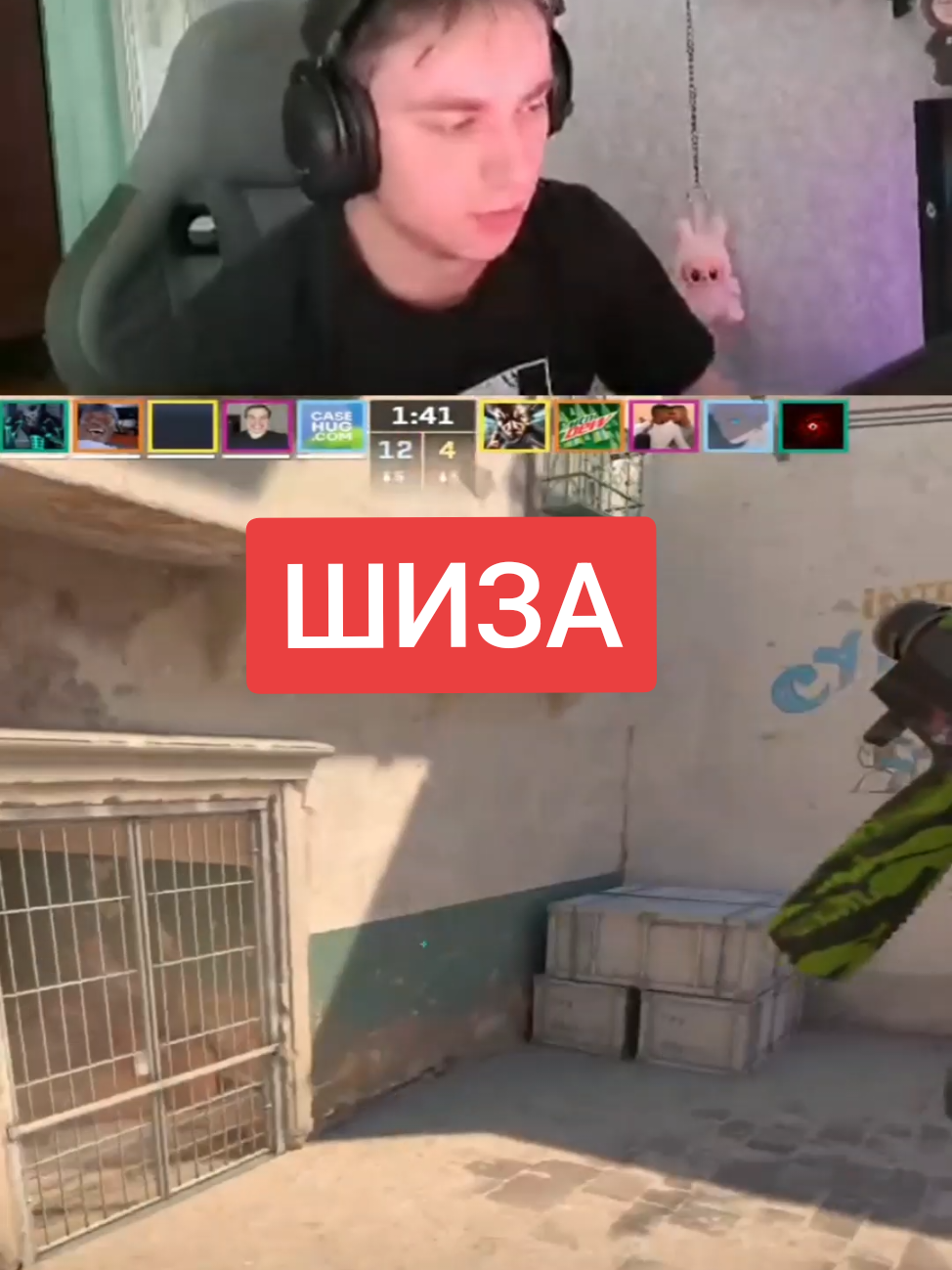 twitch: dsbondik  #fipシ #f #twitch 