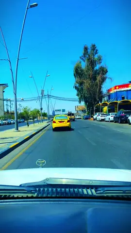 #الشعب_الصيني_ماله_حل😂😂 #تصوري_احترافي_الاجواء👌🏻🕊 #بنت_الموصل 