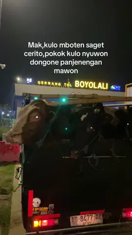 bismillah berkah#promomakan1010 #kurirsapi🐂 