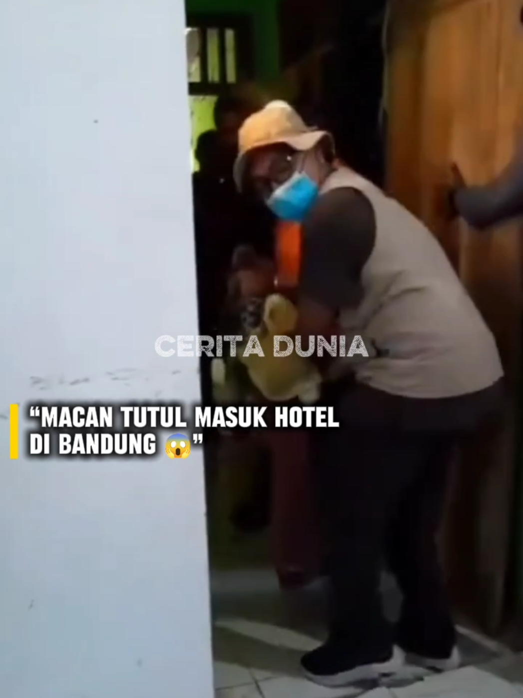 😱 Geger di Bandung! Seekor macan tutul Jawa masuk ke hotel di kawasan Padasaluyu. Beruntung, hewan langka ini berhasil diamankan tanpa korban jiwa. Tapi yang bikin heboh — diduga ini macan yang kabur dari Lembang Park & Zoo sejak Agustus lalu! BBKSDA kini lagi cek DNA dan pola tutulnya buat memastikan kebenarannya. 🐆 #fyppppppppppppppppppppppp  #BeritaViral #Bandung #MacanTutul #BBKSDA 
