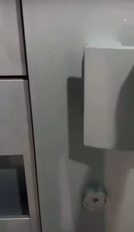 كلب البودل من أجمل و أذكى كلاب العالم 🥰 #البودل #بودل #توى_بودل #