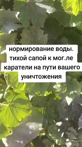 #напоминание #такбывает #реалиижизни #завтрашнийдень #управление 