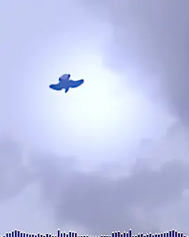 ياعيني عل اشعل🪽😁✌️ #حمام_لوت #حمام_لوت_البصره #لايك__explore___ #متابعه_ولايك_واكسبلور_فضلا_ليس_امر #محضوره_من_الاكسبلور_والمشاهدات 