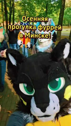 Пока что самая огромная прогулка из всех, на которой я побывала >:3 #furryfandom #furry #фурриминск #минск #фуррипрогулка 