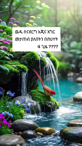 # 🌺 🌀