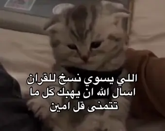 #4u #fyp ضيفو حسابي ادعموني الله يسعدكم 