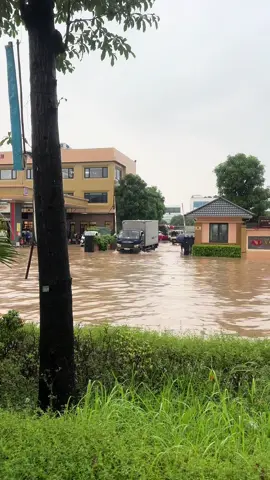 Lại bão 😊😊
