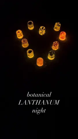 botanical lanthanum-RUPOZE THE DUCAS ledライトでゆらゆら光る、安心なボタニカルランタン🍀 クリーマとミンネにてボタニカルランタンシリーズ販売中です😄 botanical lanthanum 憧れのキャンドル。かわいいキャンドルを灯して、ゆっくりした時間が過ごしてみたい！そんな思いがいつもありましたが、私自身、室内でキャンドルの火を灯すことに抵抗があり、、、倒れたらどうしよう？火を付けたまま忘れてしまったらどうしょう？子供が遊ばないかな？と心配は尽きず。その思いから、こんなキャンドルあったらいいな♪を形にしたシリーズです。 カップのランタンシェードの下に、LEDライトを置くスタンドもセットで作りました。 #rupozetheducas #ボタニカルキャンドル#キャンドル #candle #aromacandle 