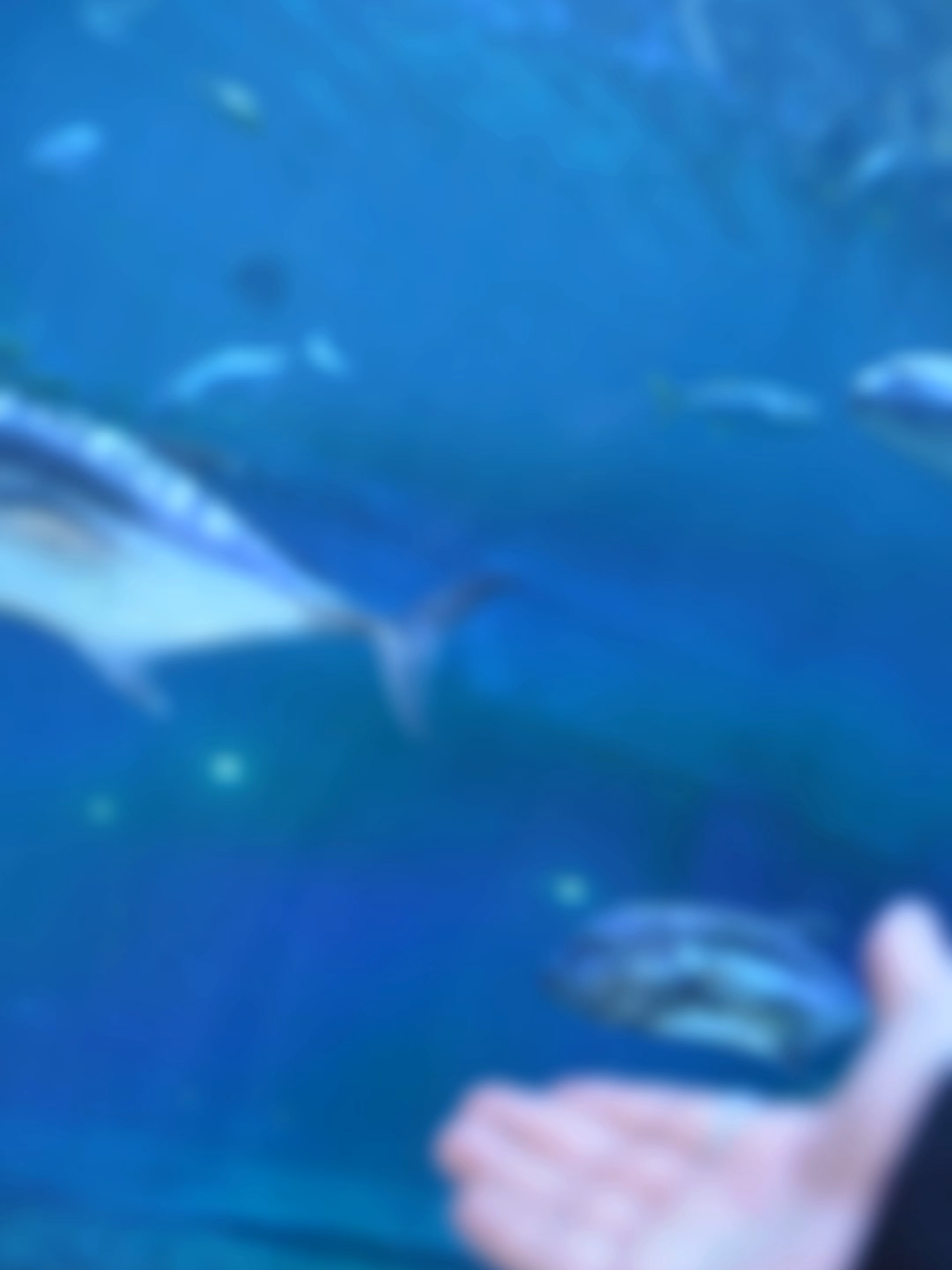 欢迎来到薰儿的“鱼塘” #萧薰儿 #斗破苍穹 #huannhi#dauphathuongkhung #cosplay