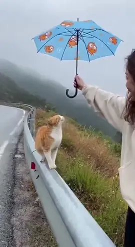 xin lỗi vì đã cười😂😂😂
