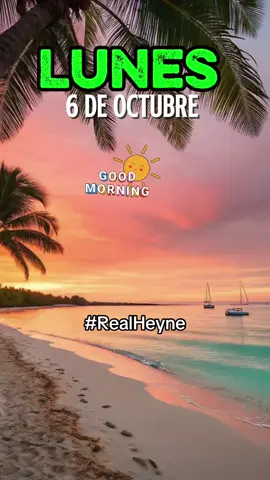 #buenosdias #diostebendiga #palabradehoy #realheyne #lunes 