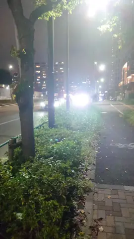 チーム三井 @三井健貴【紅白チャンネル】 