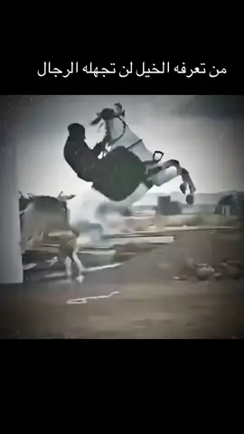 #خيل_وخياله🐎 