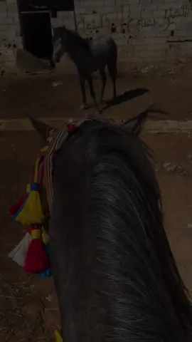 اذكر الله يذكرك بلخير اللهم بارك❤️❤️🐎