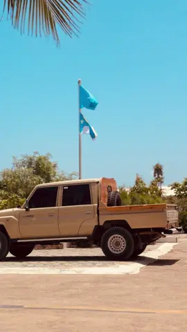 🇸🇴🦁