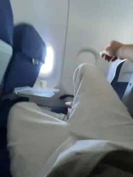 #uzbekistanairways 