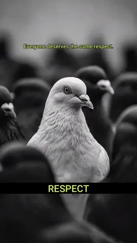 RESPECT #breakthehate #changethemindset #oneworldonepeople #thinkdifferent #respect 