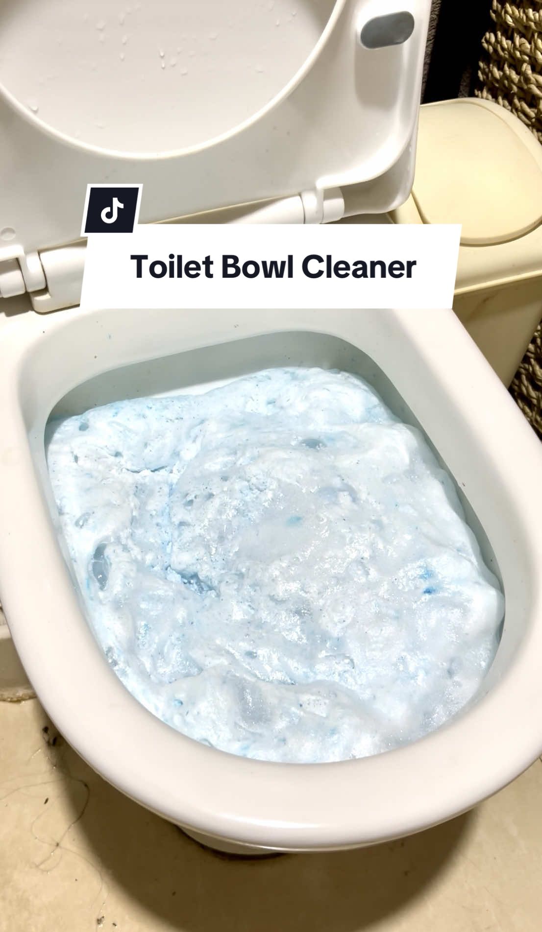 Toilet Bubble Bowl Cleaner #toiletcleaner #toiletbowlcleaner #bathroommakeover #toilet #cleaningproducts 