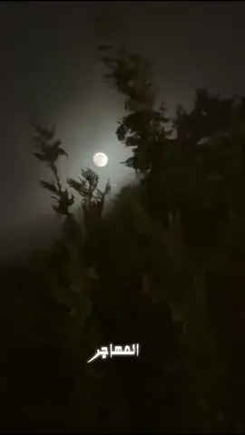 #ذكرتك_و_السما_مغيمة #حسين_الجسمي_الامارات #ابوظبي🇦🇪 