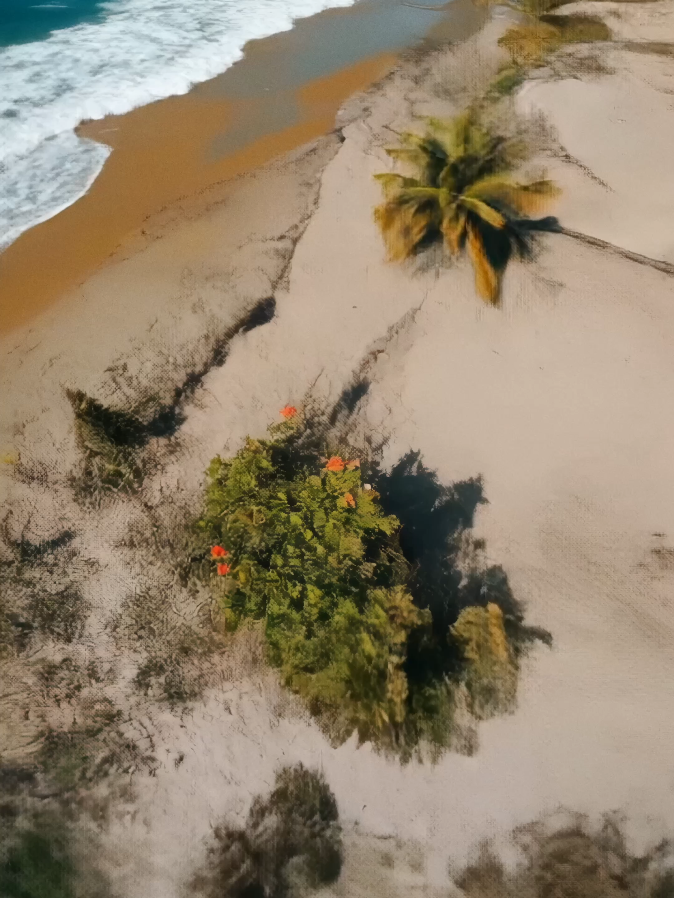 Welcome to Paradise 💖 ❤️ ✨ #calmvibes #healingnature #calmfeeling #livewallpaper  #livewallpaper4k #healingtiktok #healingvideo #calmvideos #naturebeauty  #beautifulnature #fascinatingnature #beautifulview #beautifulviews  #peacefulview #peacefulviews #breathtaking #breathtakingview  #breathtakingviews #calmingview #calmingviews #calmingvideo  #calmingvideos #relaxingview #relaxingviews #relaxingvideo  #relaxingvideos #findyourcalm #findpeace #findcalm #beachwallpaper #beachvibes #beachvibe #oceanwaves #beachwalk #welcometoparadise #beachparadise #birds #happybird #tropicalbeach #tropicalbird