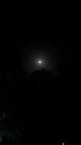 🔥#follow #somalitiktok #habeen #night #hargaisa 