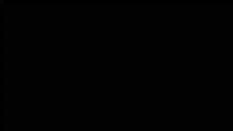 𝐓𝐇𝐄  𝐋𝐄𝐆𝐄𝐍𝐃  𝐎𝐅    𝐙 ⚡ 𝚈  𝙽 🙀