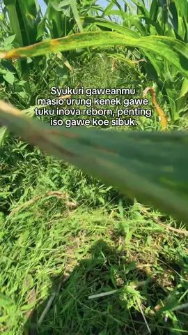 Sek repot ngarit#fyp #tukangngarit #sabilfarm #blitar24jam #bolongarit 