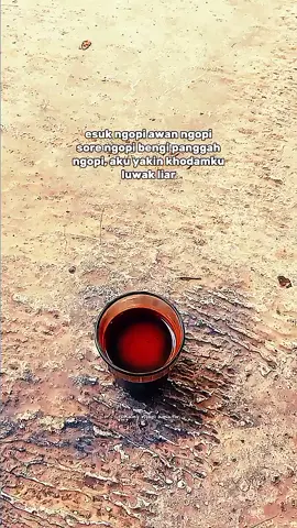 ngopi bubuk robusta luwak liar cek keranjang wooo #fyp #jawapride #masukberanda #xcyzba #kopi 