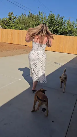 #❤️❤️❤️❤️❤️❤️ 