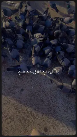 #CapCut #foryour #viralvideos #fy #tiktoker 