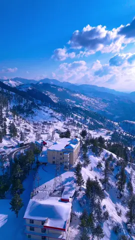 Green hilton hotel  Shangla Top #fyp #viral #winter #videoviral 