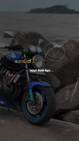 කවුද සද්දෙට ආස ගේමුද එකක් 🥲🫀💥😁