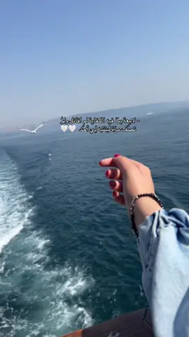 ‏- لامِعة بمَا فيه الكفاية لم اقاتل ولوُ     نصّف مرّة لينتبه لِي أحَد . #تصويري📷 #حب #الشعب_الصيني_ماله_حل😂😂 #مليش_خلق_احط_هاشتاغات🙂 #حياة 