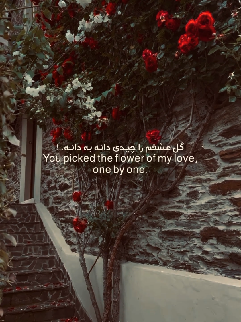 #persiansong #aronafshar #viraltiktok #lyrics_song #foru 